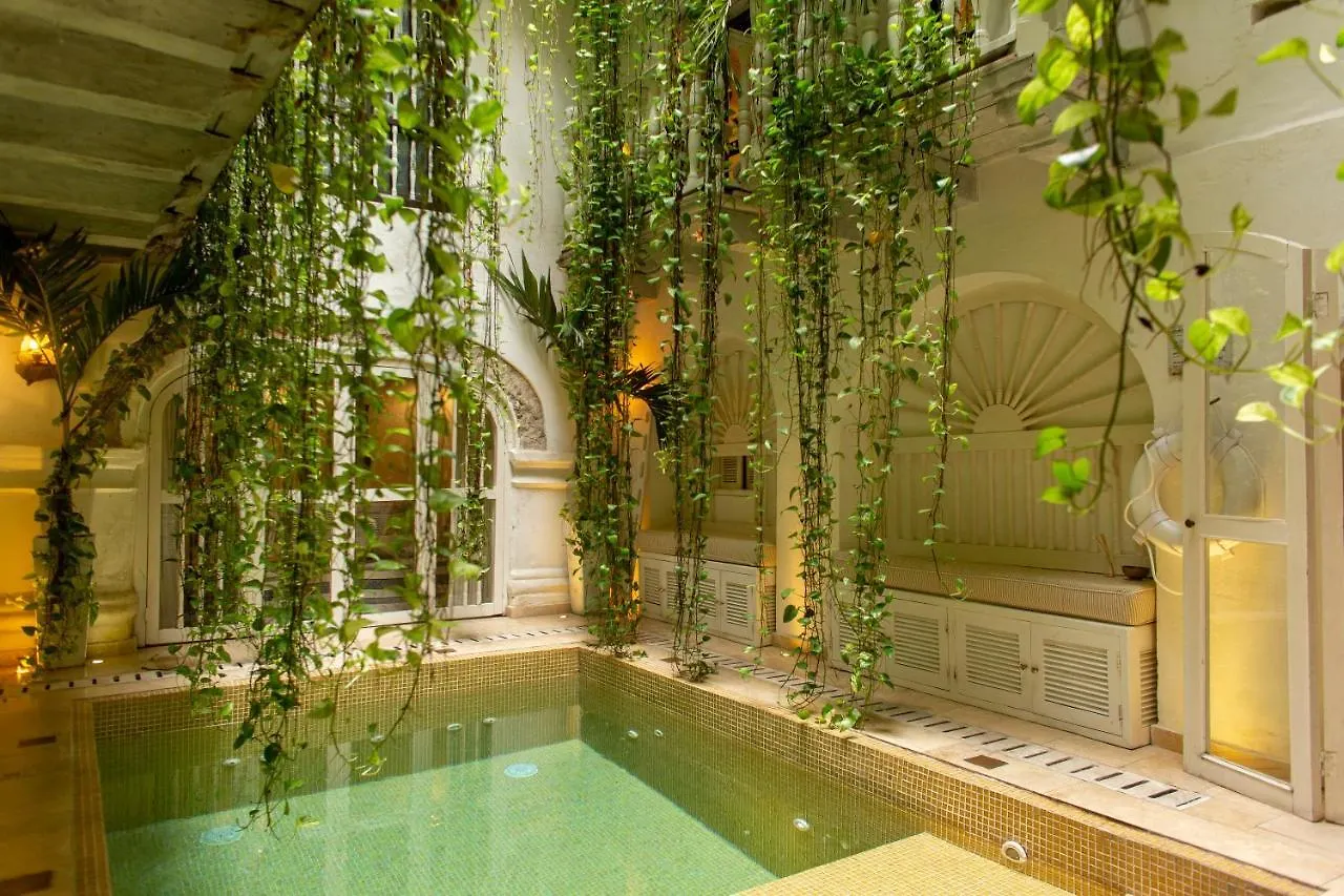 Leones De Alba Hotel Boutique Cartagena Colombia